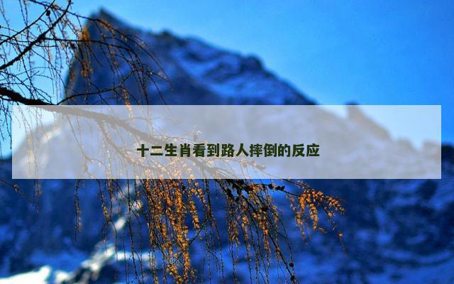 十二生肖看到路人摔倒的反应