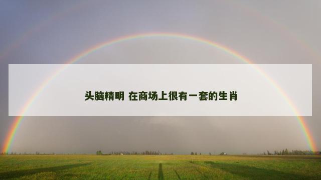 头脑精明 在商场上很有一套的生肖