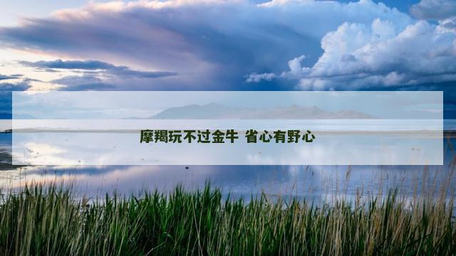 摩羯玩不过金牛 省心有野心