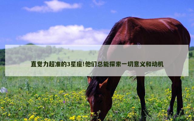 直觉力超准的3星座!他们总能探索一切意义和动机