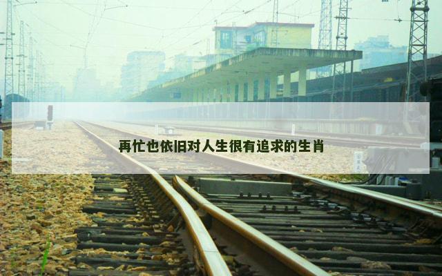 再忙也依旧对人生很有追求的生肖