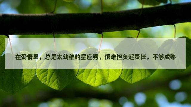 在爱情里，总是太幼稚的星座男，很难担负起责任，不够成熟
