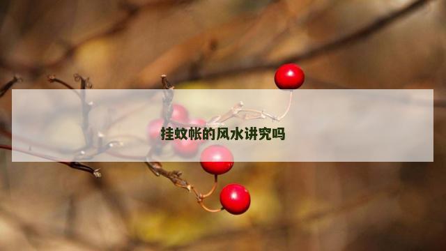 挂蚊帐的风水讲究吗