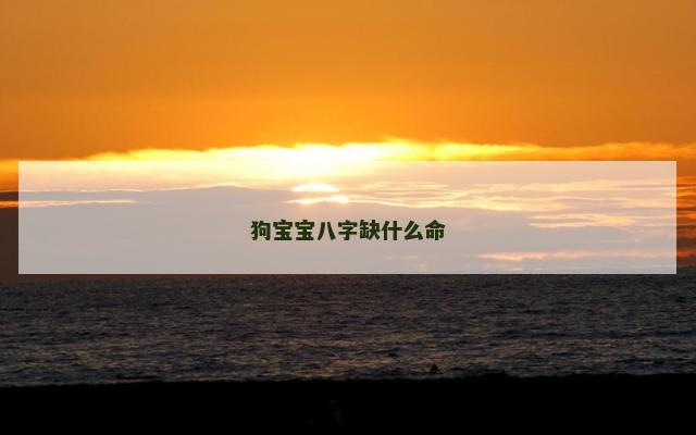 狗宝宝八字缺什么命
