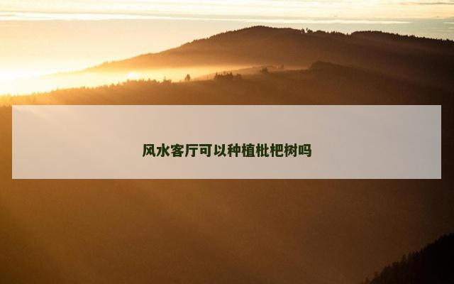风水客厅可以种植枇杷树吗