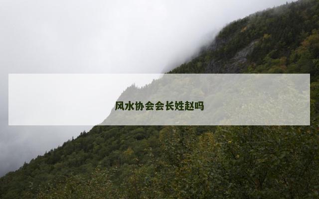 风水协会会长姓赵吗