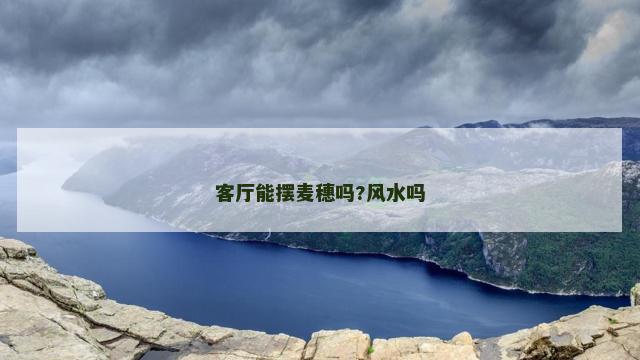 客厅能摆麦穗吗?风水吗
