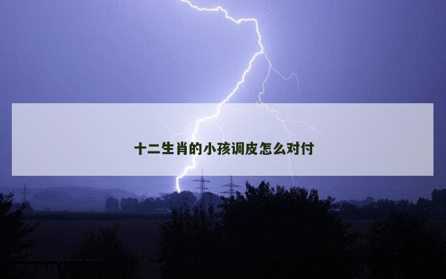 十二生肖的小孩调皮怎么对付
