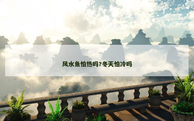 风水鱼怕热吗?冬天怕冷吗