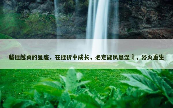 越挫越勇的星座，在挫折中成长，必定能凤凰涅槃，浴火重生