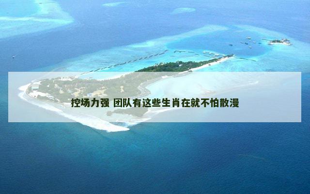 控场力强 团队有这些生肖在就不怕散漫