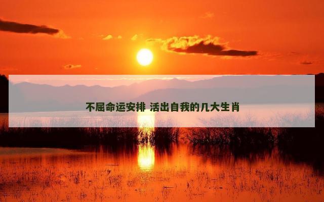 不屈命运安排 活出自我的几大生肖