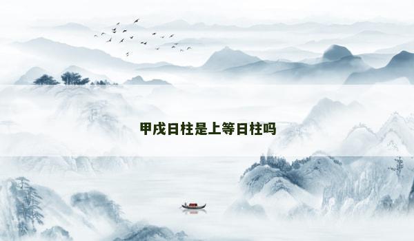 甲戌日柱是上等日柱吗