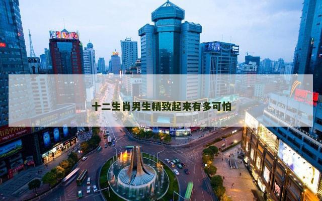十二生肖男生精致起来有多可怕