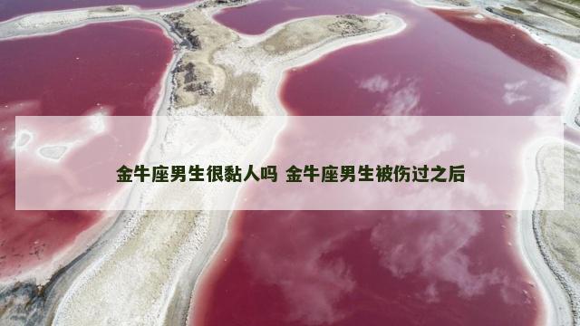 金牛座男生很黏人吗 金牛座男生被伤过之后
