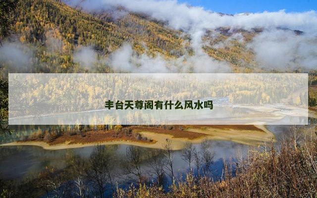 丰台天尊阁有什么风水吗