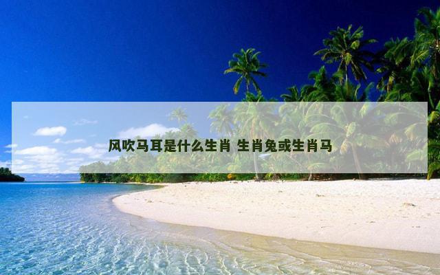 风吹马耳是什么生肖 生肖兔或生肖马