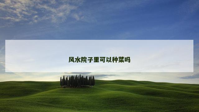 风水院子里可以种菜吗