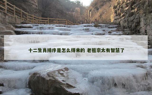 十二生肖排序是怎么得来的 老祖宗太有智慧了