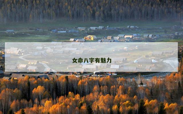 女命八字有魅力