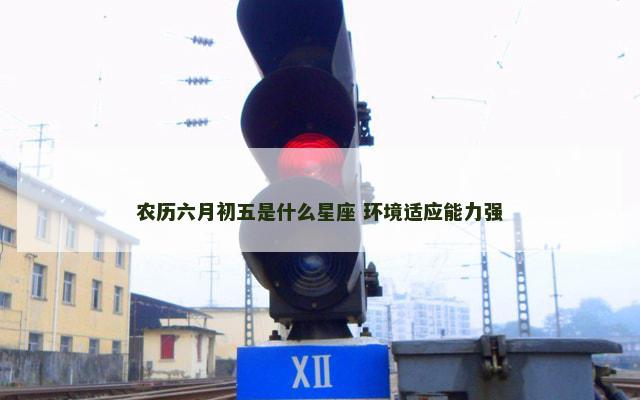 农历六月初五是什么星座 环境适应能力强