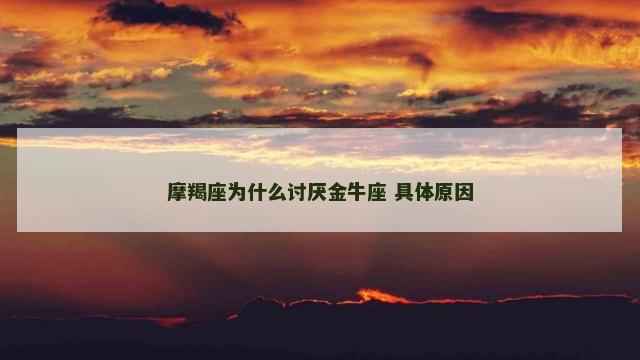 摩羯座为什么讨厌金牛座 具体原因