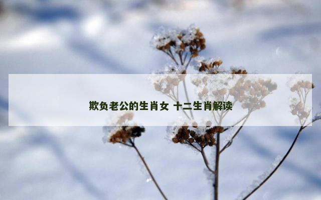 欺负老公的生肖女 十二生肖解读