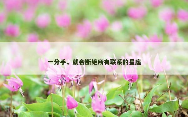 一分手，就会断绝所有联系的星座