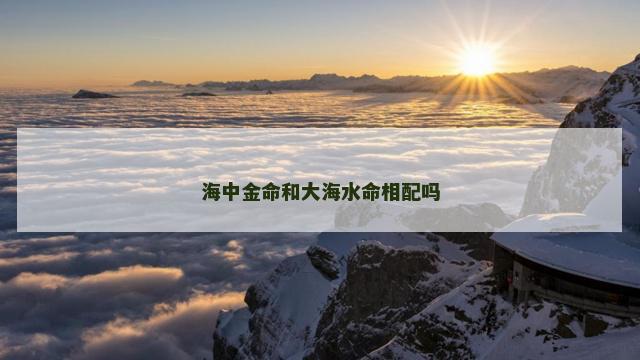 海中金命和大海水命相配吗