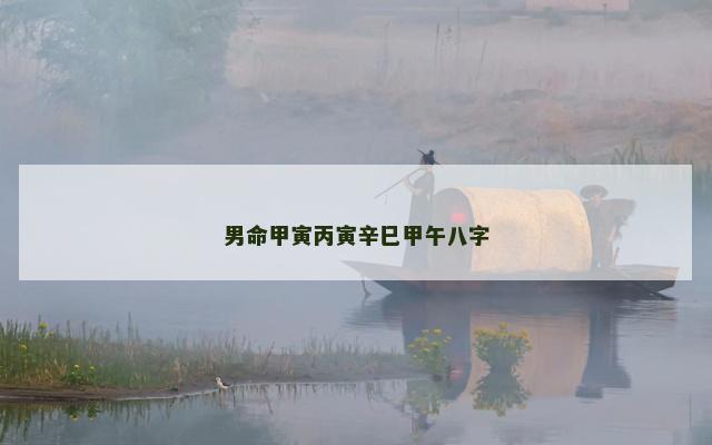 男命甲寅丙寅辛巳甲午八字