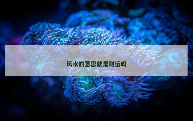风水的意思就是财运吗