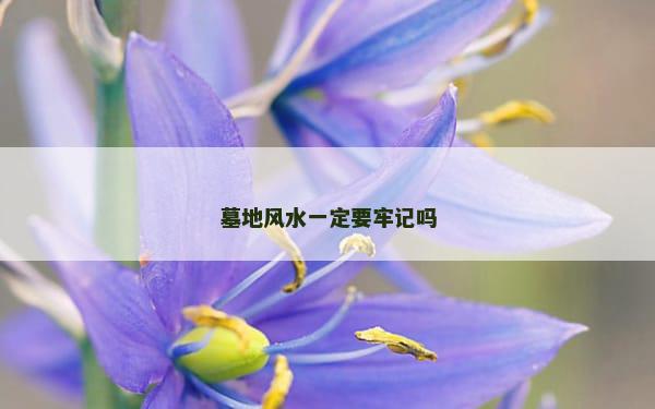 墓地风水一定要牢记吗