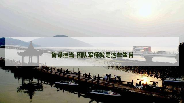 智谋担当 团队军师就是这些生肖