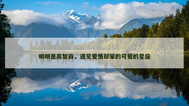 明明是高智商，遇见爱情却笨的可爱的星座