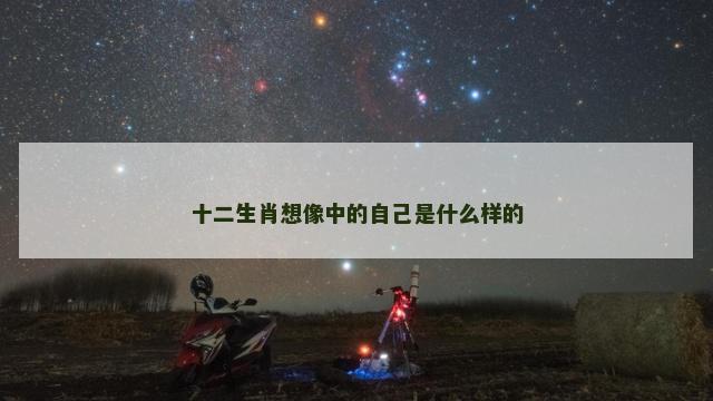 十二生肖想像中的自己是什么样的