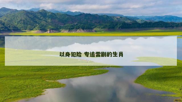 以身犯险 专追雷剧的生肖