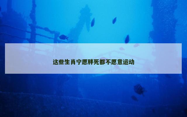 这些生肖宁愿胖死都不愿意运动