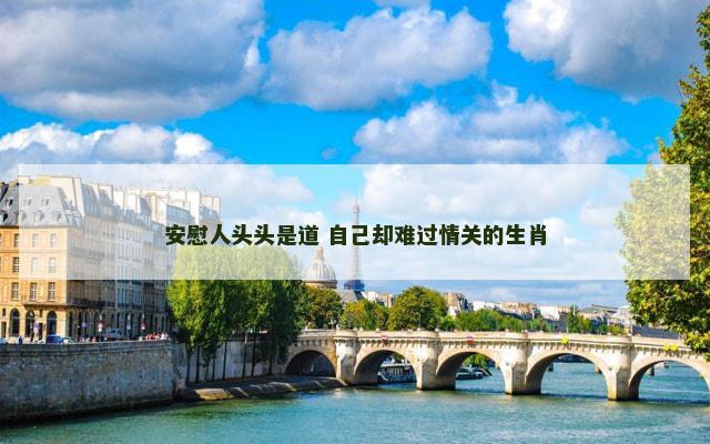 安慰人头头是道 自己却难过情关的生肖