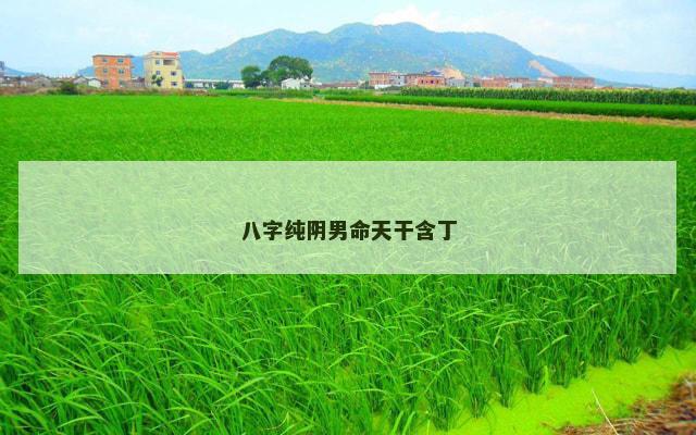 八字纯阴男命天干含丁