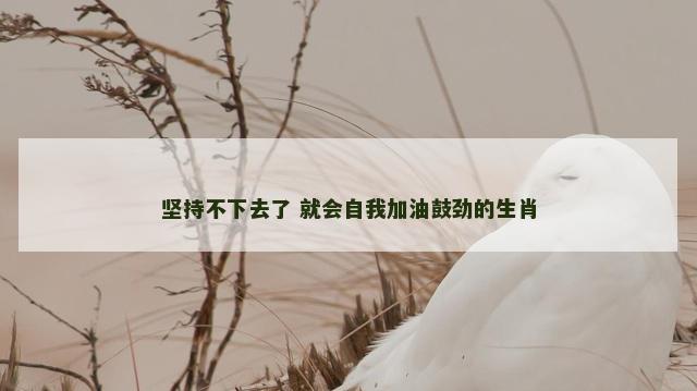 坚持不下去了 就会自我加油鼓劲的生肖