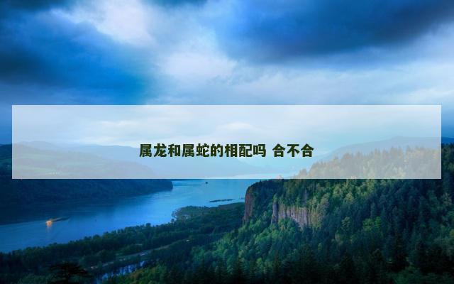 属龙和属蛇的相配吗 合不合