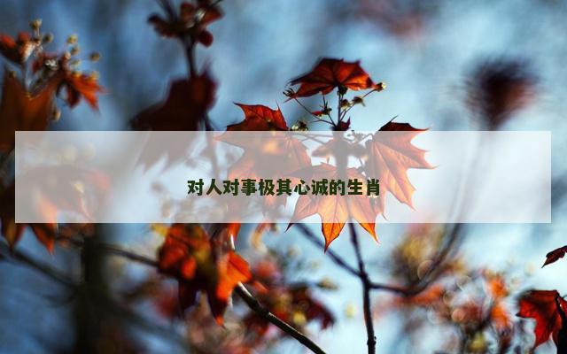 对人对事极其心诚的生肖