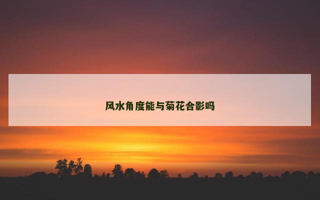 风水角度能与菊花合影吗