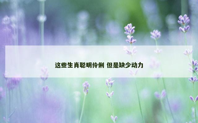 这些生肖聪明伶俐 但是缺少动力