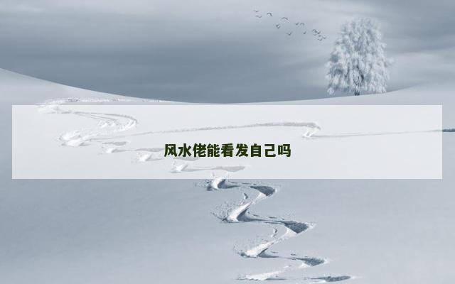 风水佬能看发自己吗