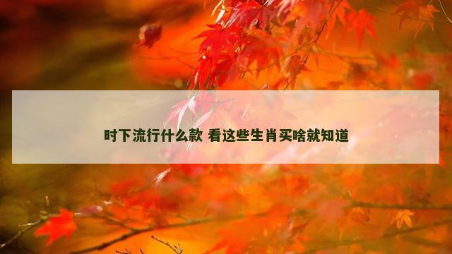 时下流行什么款 看这些生肖买啥就知道