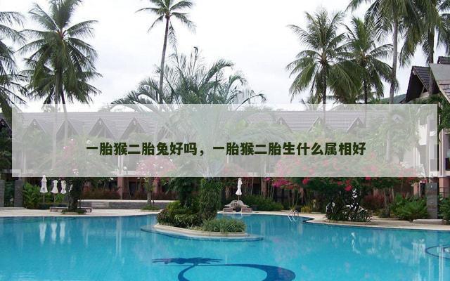 一胎猴二胎兔好吗，一胎猴二胎生什么属相好