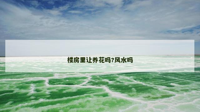 楼房里让养花吗?风水吗