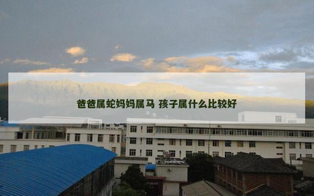 爸爸属蛇妈妈属马 孩子属什么比较好