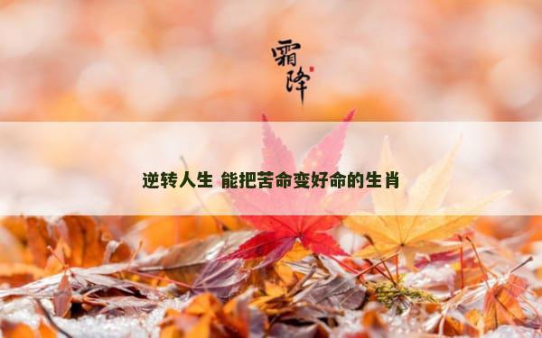逆转人生 能把苦命变好命的生肖